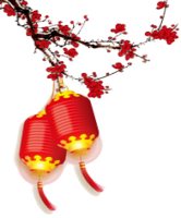 chinese new year lanterns